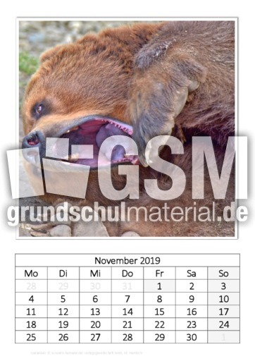 November_Kodiakbär_3.pdf